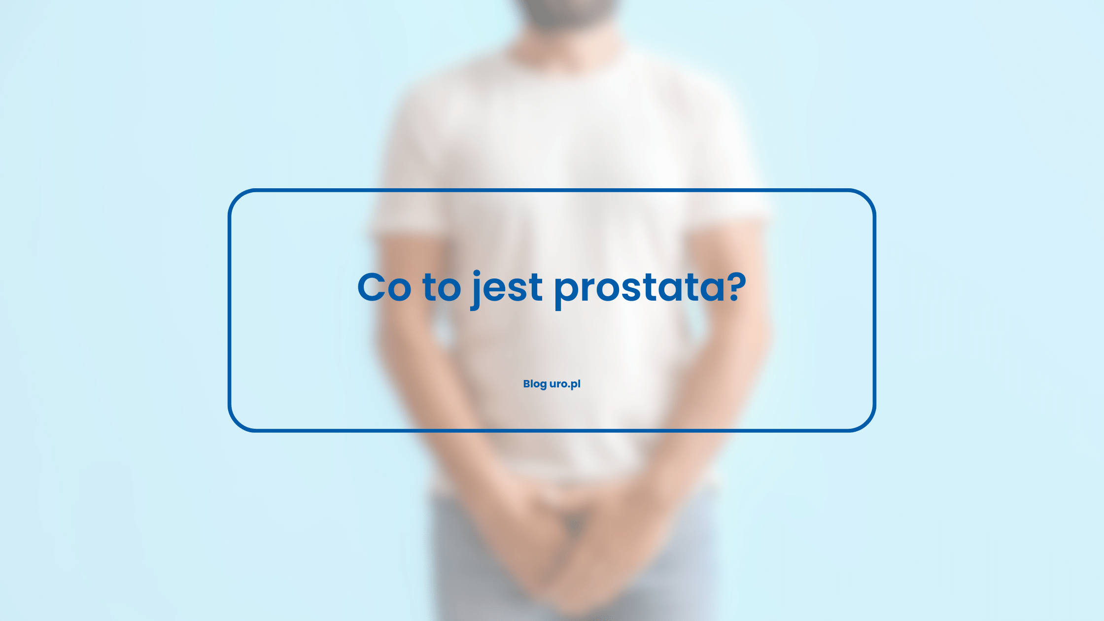 Co to jest prostata?