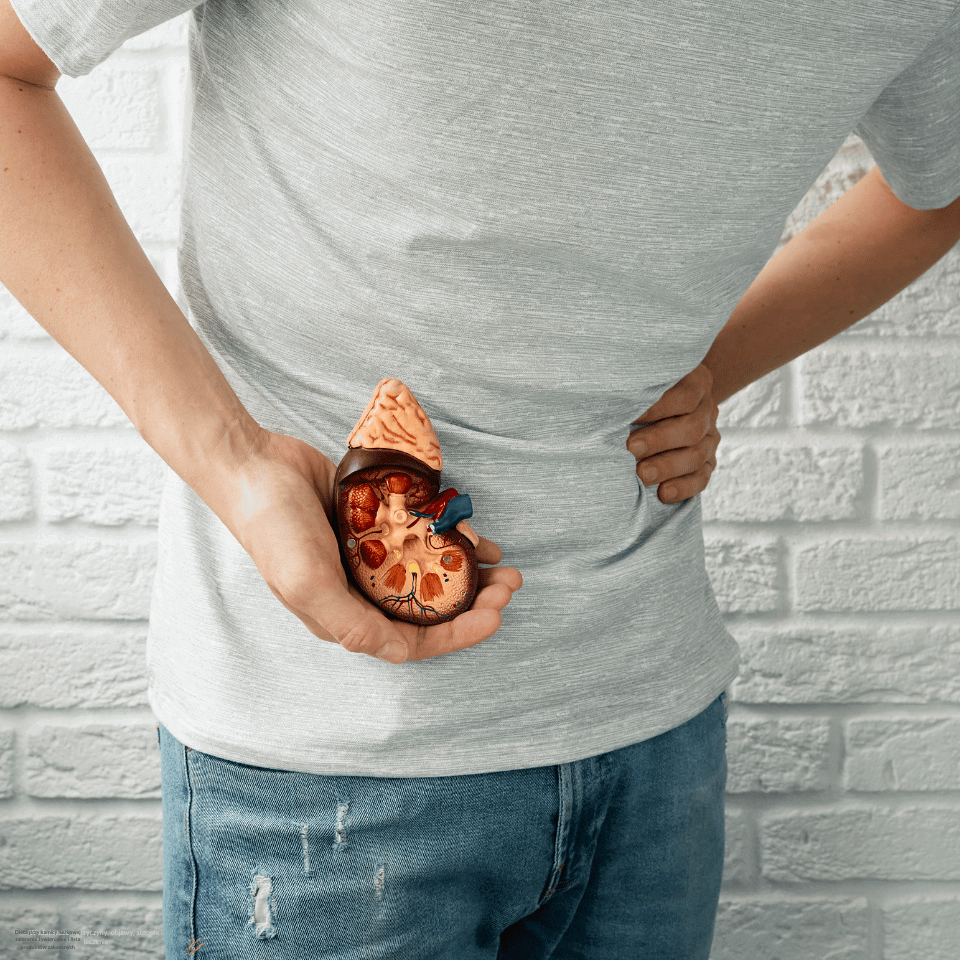 Dieta przy kamicy nerkowej zalecenia żywieniowe i lista produktów zakazanych