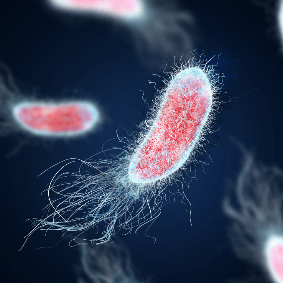 Choroby układu moczowego – rodzaje, przyczyny, objawy, leczenie, diagnostyka