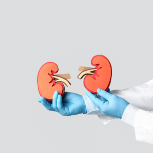 Agenezja nerek – objawy, przyczyny, leczenie