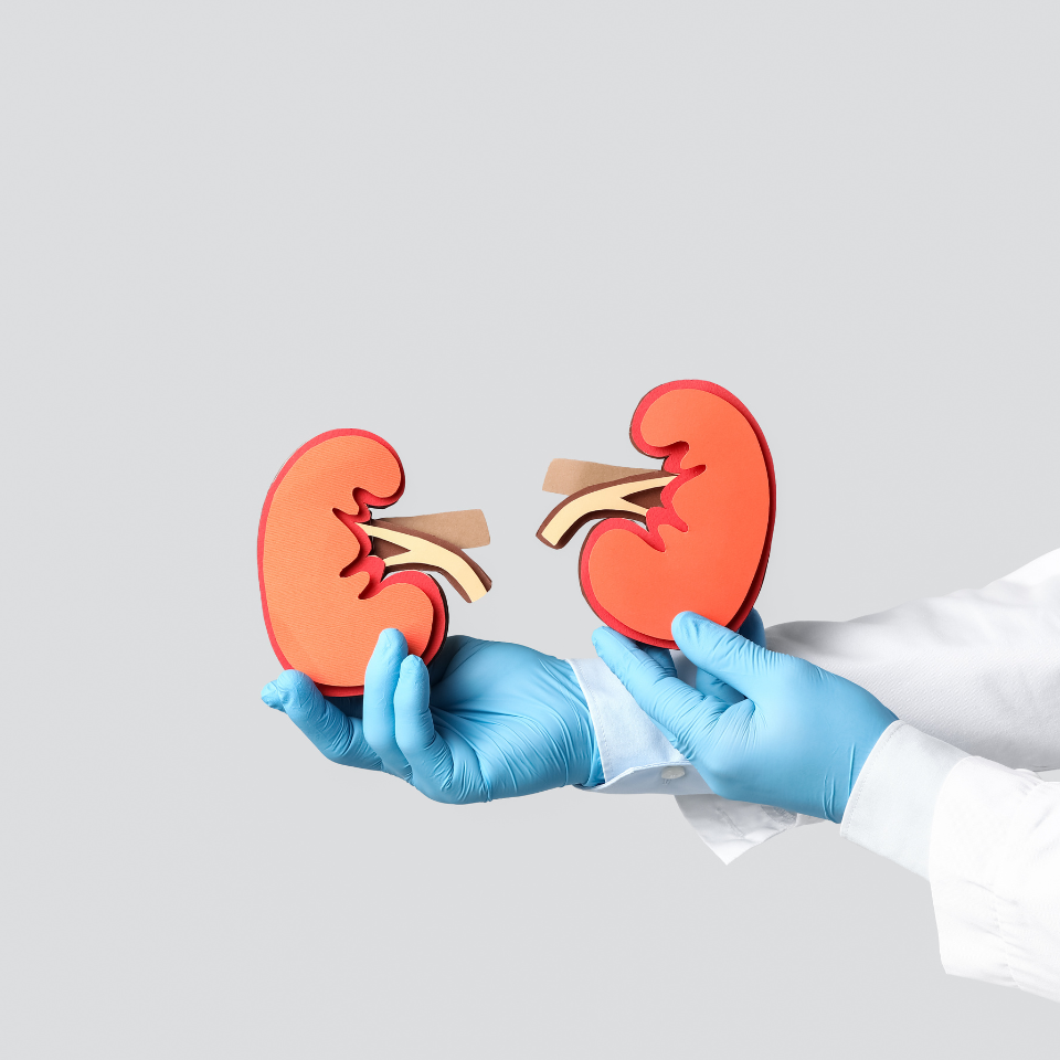 Agenezja nerek – objawy, przyczyny, leczenie